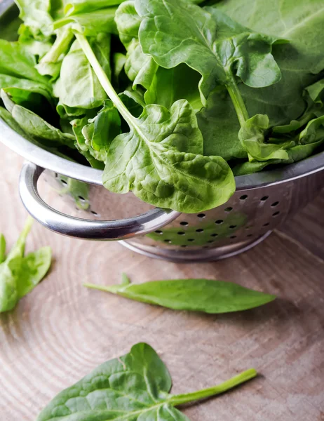 Fresh spinach and sorrel — Stock Photo, Image