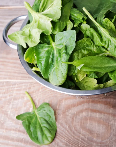 Fresh spinach and sorrel — Stock Photo, Image