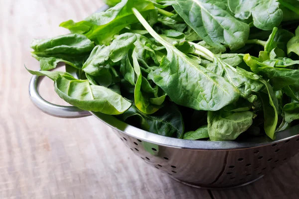 Fresh spinach — Stock Photo, Image