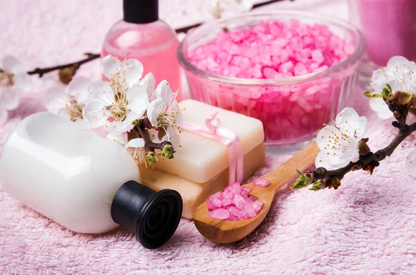 Spring spa still life — Stock Photo, Image