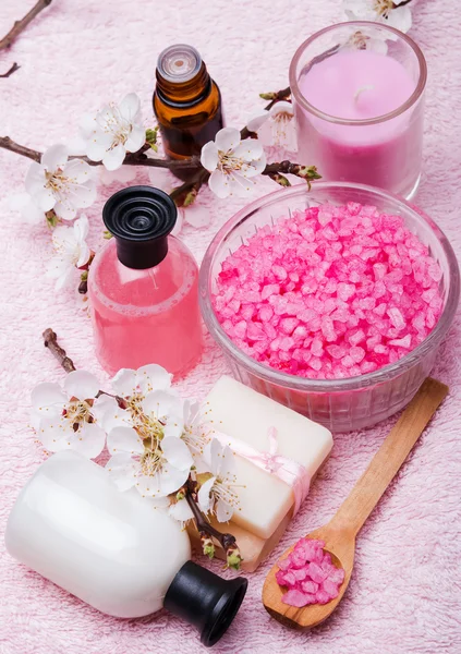 Spring spa still life — Stock Photo, Image