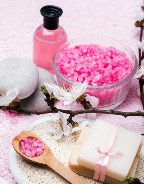 Spring spa still life — Stock Photo, Image