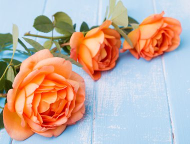 Tablo renkli Şeftali güller