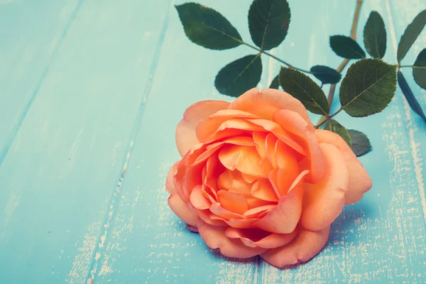 桃子色玫瑰在桌子上 — 图库照片
