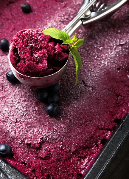 Blueberries ice-cream — Stock Photo, Image