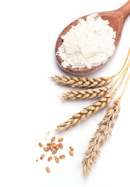 Ears of wheat and flour on the white background