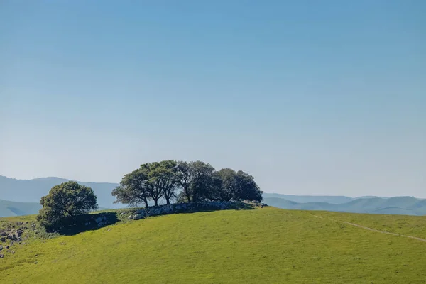 Bela Paisagem Com Árvores Colina Verde Sobre Céu Azul — Fotografia de Stock