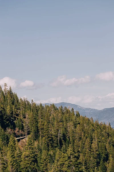Green Fir Trees Mountains Lake Tahoe — Foto Stock