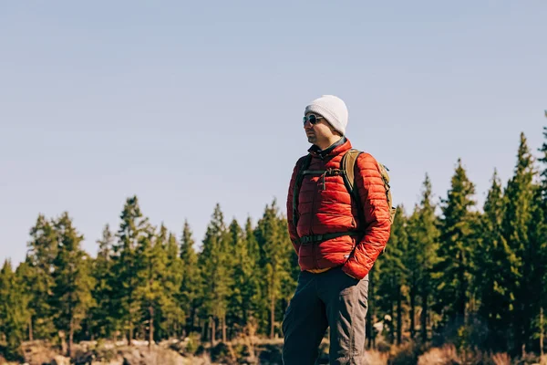 Man Backpack Hiking Outdoors Pine Trees Background — Fotografia de Stock