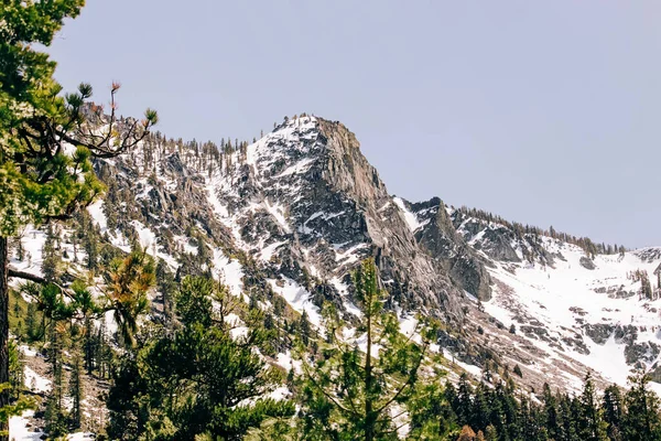 Mountain Snow Pine Trees Views Lake Tahoe Spring — Foto de Stock