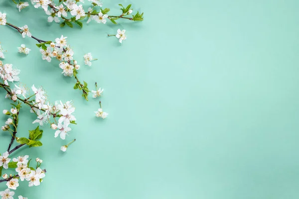 Jarní Kvetoucí Větve Pastelově Modrém Pozadí Kopírovat Prostor — Stock fotografie