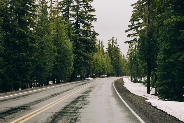 Nasse Straße Durch Die Kiefernkiefer Mit Etwas Schnee Straßenrand Oregon — Stockfoto