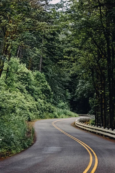 Narrow Two Lane Road Forest Oregon Usa — Stockfoto