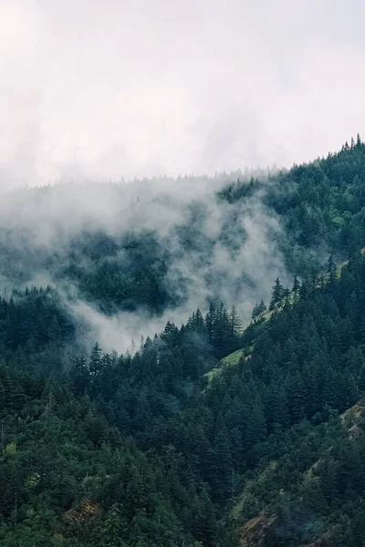 Trees Mountains Covered Fog Cloudy Day Outdoors — Stockfoto