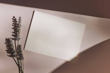 Minimalist paper card mock-up with natural lavender flowers on the pastel background in natural sunlight with trendy shadows