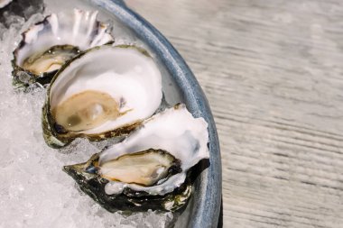 Buzdaki lezzetli taze istiridyelerin yakın çekimi, güneş ışığı.