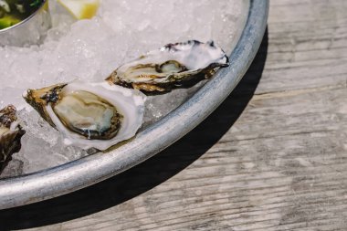 Buzdaki lezzetli taze istiridyelerin yakın çekimi, güneş ışığı.