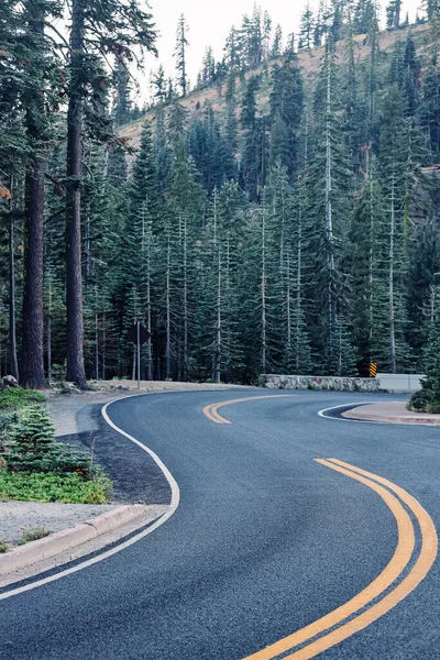 Windy Road Cars Green Forest — Stock Photo, Image