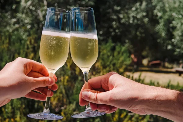 在夏日的绿叶中 两只手拿着两杯白葡萄酒的酒杯 — 图库照片
