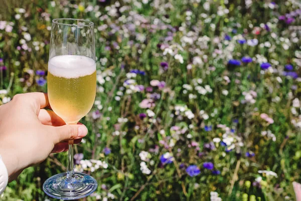 在盛开的草地 夏日野餐的背景下 女性的手捧着一杯白葡萄酒 — 图库照片