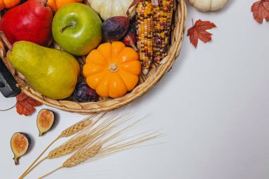 Sonbahar hasadı, en iyi manzara. Sonbahar sebzeleri ve meyveler: mısır, kabak, meyve ve buğday. Şükran Günü geçmişi