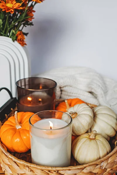 Queda Acolhedora Ainda Composição Vida Com Abóboras Decorativas Velas Decoração — Fotografia de Stock