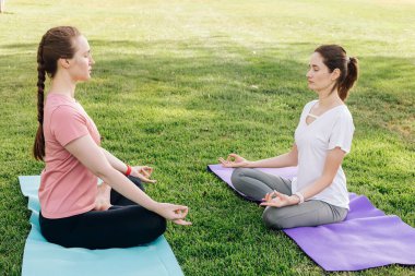 Parkta yoga yapan iki genç kadın. Açık havada egzersiz, sağlıklı yaşam tarzı.