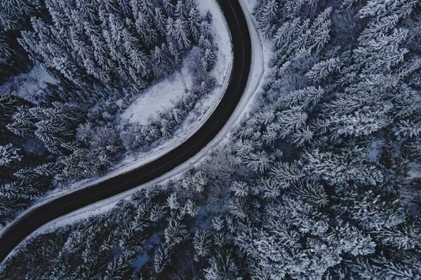 Drone Pini Ricoperti Neve Autostrada Attraverso Foresta Invernale Vista Aerea — Foto Stock