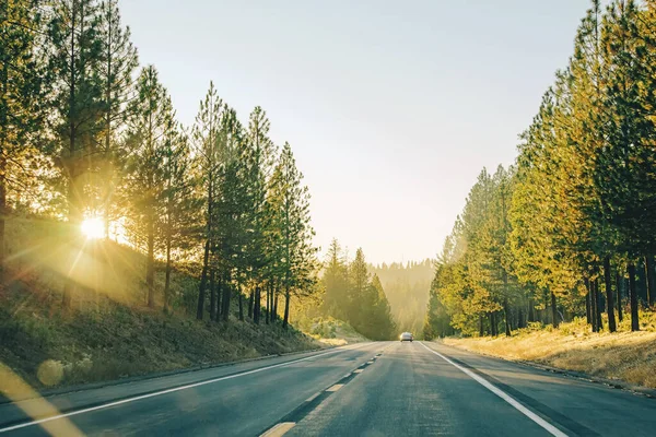 Golden hour sun glow through the trees. Empty road, highway in the forest, travel concept