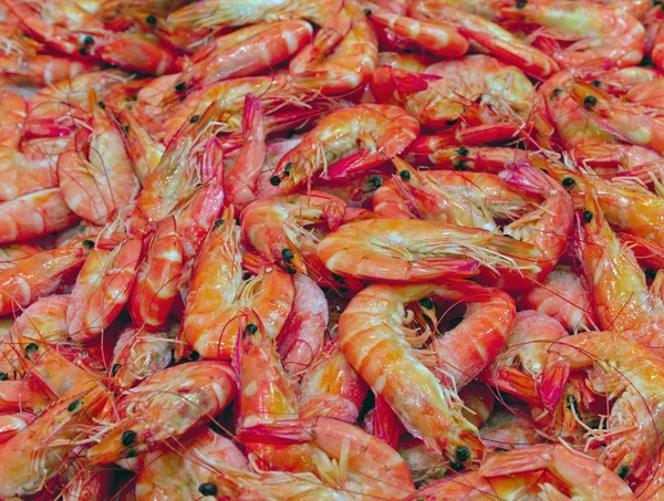 Prawn background — Stock Photo, Image