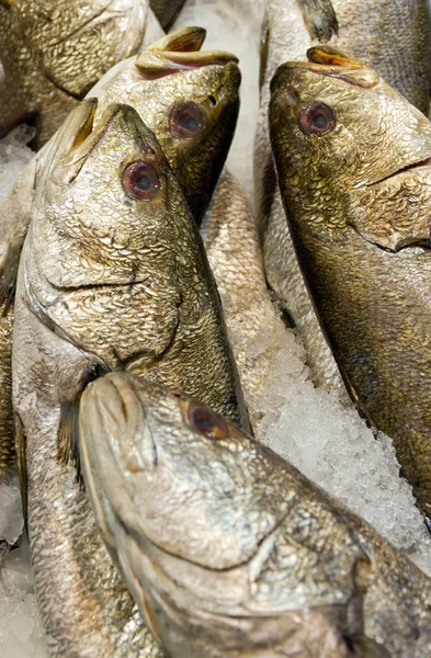 Market fish — Stock Photo, Image