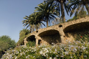 palmiye park Güell