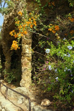 flowerses park guell içinde