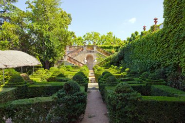 güzel Park labirent