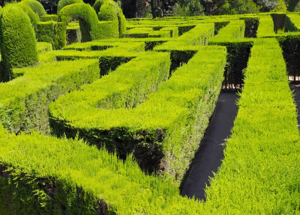 City park labyrinth — Stock Photo, Image