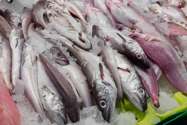 Peixe fresco no mercado — Fotografia de Stock