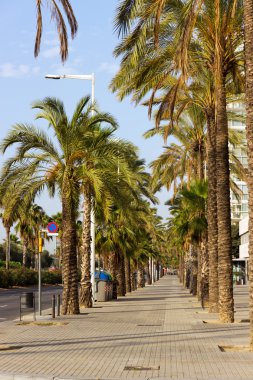 Alley Beach