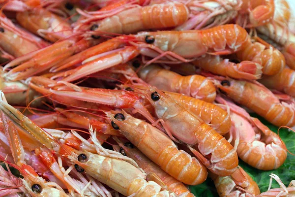 Red shrimp — Stock Photo, Image