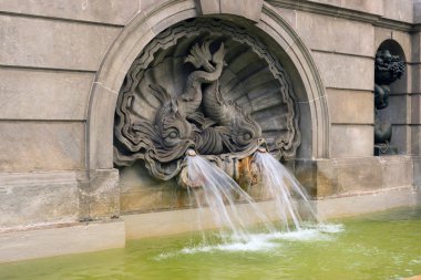 Çeşme balık sazan