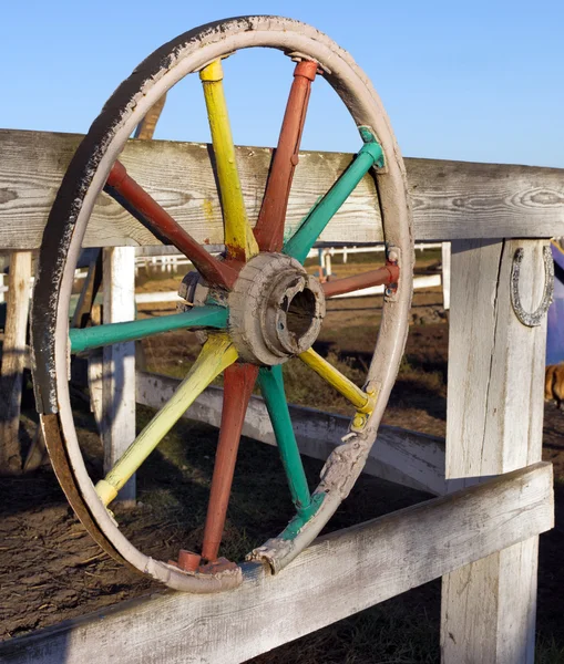 Granja de caballos — Foto de Stock