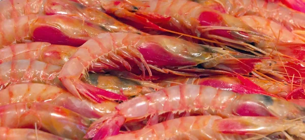 Heap prawns — Stock Photo, Image