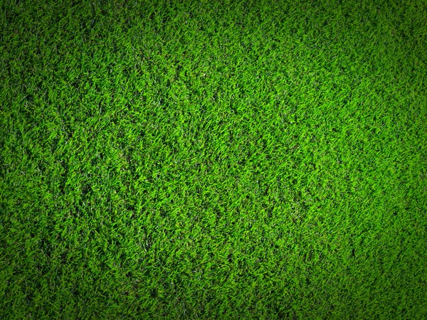 Naturaleza de la hierba — Foto de Stock