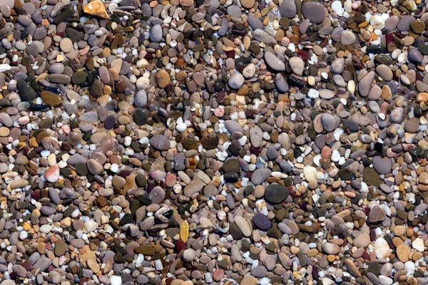 无缝背景湿的鹅卵石 — 图库照片