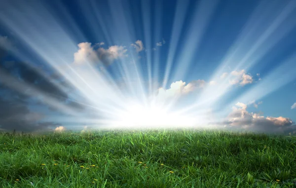 Zelená pole a jasné slunce na modré obloze — Stock fotografie