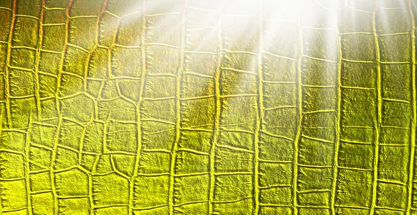 Сонячне світло в золотій шкіряній текстурі — стокове фото