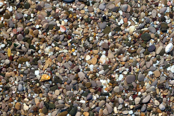 Seixo sob praia de água — Fotografia de Stock