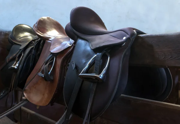 Saddle horse — Stock Photo, Image