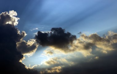Sun Ray