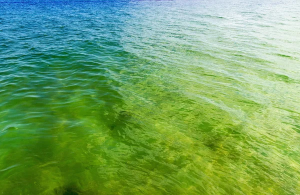 파도의 바다 물 — 스톡 사진