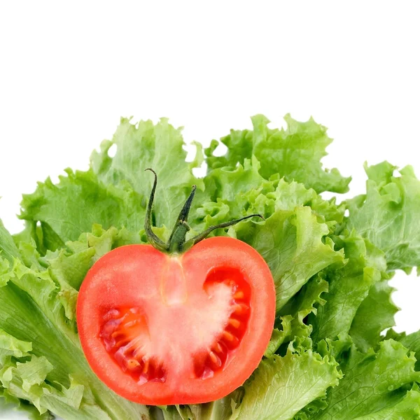 Tomatoes on salad — Stock Photo, Image